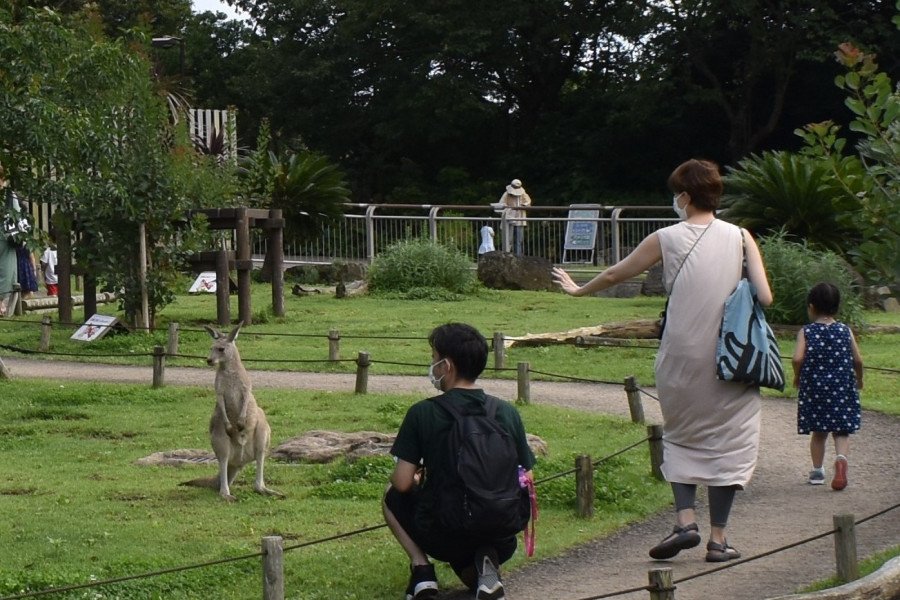 🦁 요코하마 시립 가나자와 동물원 이미지 7